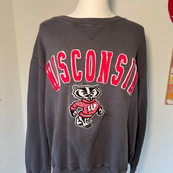 Campus Heritage University of Wisconsin Grey and Red Collared Sweatshirt - Picture 4 of 10